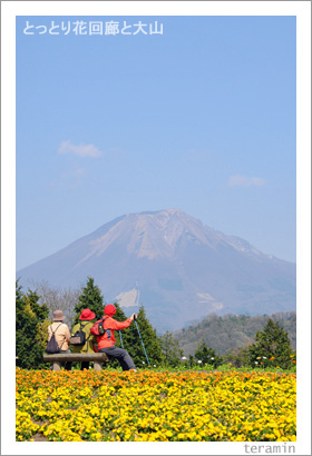 とっとり花回廊と大山 写真