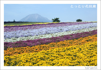 �ȤäȤ�ֲ�ϭ1