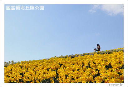 ���̵��͸��ࡡ��������ե��󥿥������̿�2