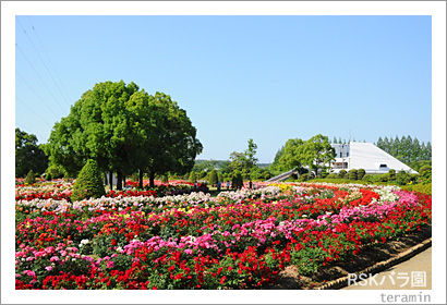 RSK�Х�ࡡ�̿���