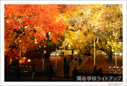 Teraminのblog 閑谷学校ライトアップ