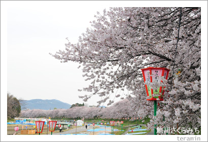 �������ߤ�1