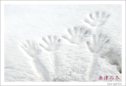 ���Ť���4