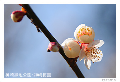 �������ϸ��ࡦ�����߱ࡡ�̿�3