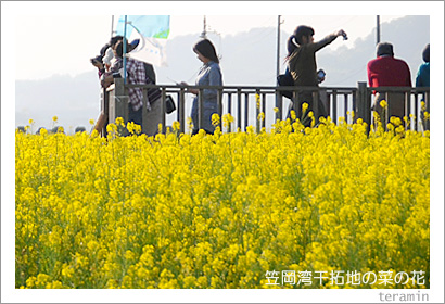 �޲��Ѵ����Ϥκڤβ֡��̿�2