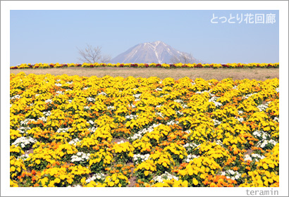 �ȤäȤ�ֲ�ϭ���̿�2