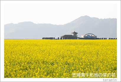 �޲��Ѵ����Ϥκڤβ֡��̿�1