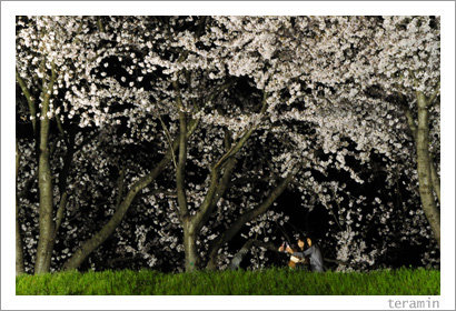 sakurmichi3
