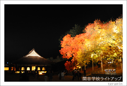 Teraminのblog 閑谷学校ライトアップ Teraminのblog 閑谷学校ライトアップ