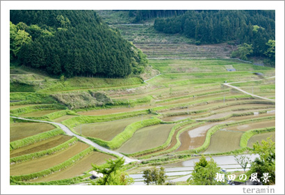 ê�Ĥ�����