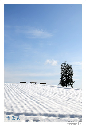 雪景色1