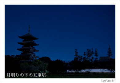 ������β��ι�ʬ���޽���2