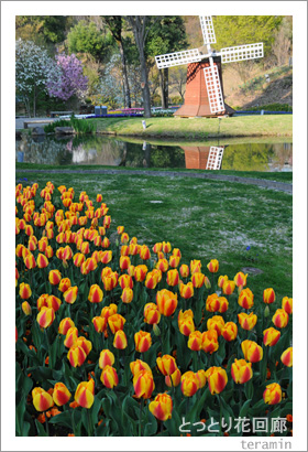 �ȤäȤ�ֲ�ϭ���̿�5