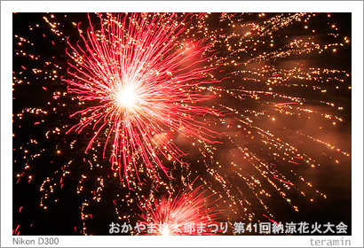 fireworks2014_3