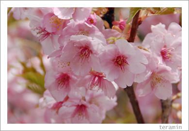 ��������ʡ�ĸ���β��ź�