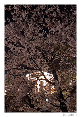 ������������϶�Ⱥ�3