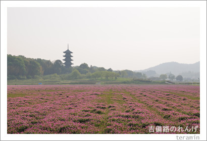 ����ϩ�Τ�󤲡��̿�3