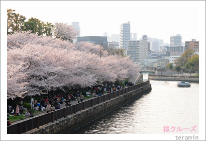 �����롼��1