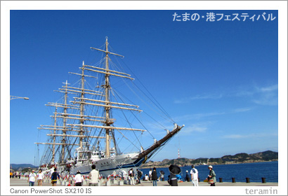 たまの・港フェスティバル 写真2