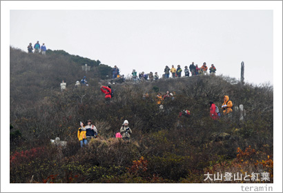 大山登山と紅葉5