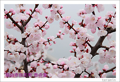 �Ŀ��ΰɡ��̿���