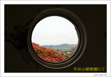 半田山植物園3
