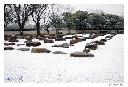 ������β�����3