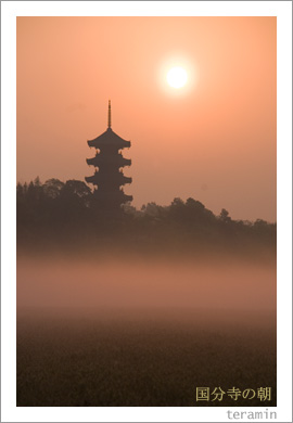 備中国分寺の朝3