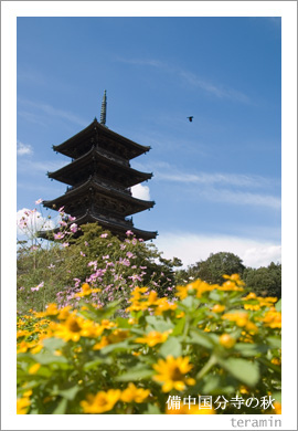 �����ʬ���ν�3