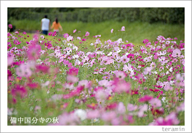 �����ʬ���ν�2