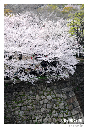 �������κ�4