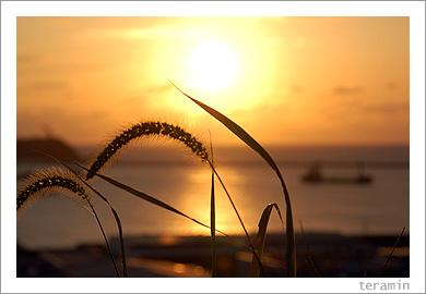 ����ͼ��2