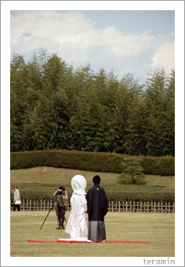 ��ڱ�νա�������3