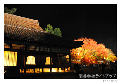 ��ë�ع��饤�ȥ��åס��̿�3