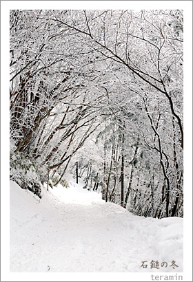 ���ʤ���3