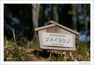 ���ᥤ�襷�Ρ�ɸ����1