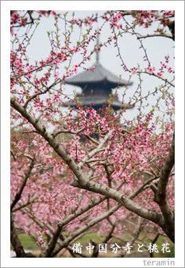 �����ʬ��������2