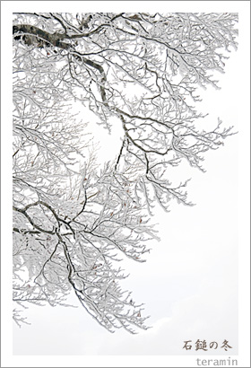 ���ʤ���4