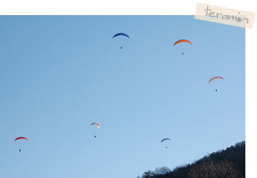 paraglider4