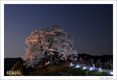 �������̿�2009_6