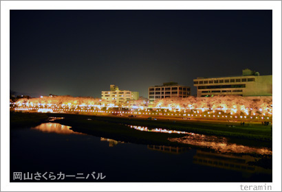 岡山さくらカーニバル 夜桜 写真1