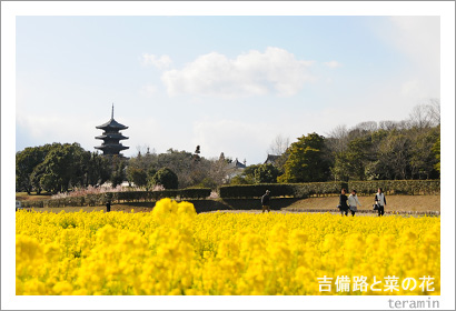 ����ϩ�Ⱥڤβ֡��̿�1