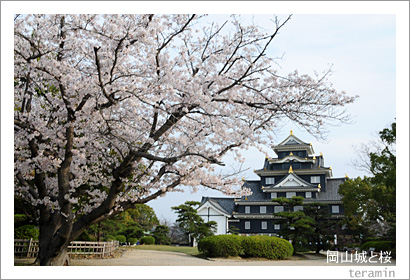 ������Ⱥ�1