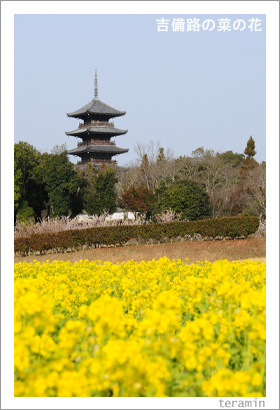 ����ϩ�κڤβ֡��̿�