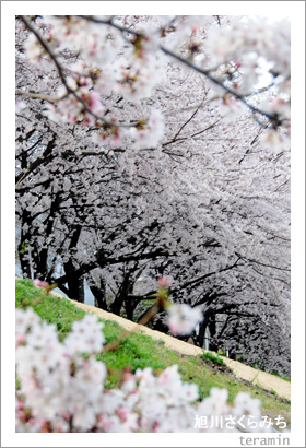 �������ߤ�2