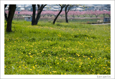 ����ϩ�����֤ȥ���ݥ�