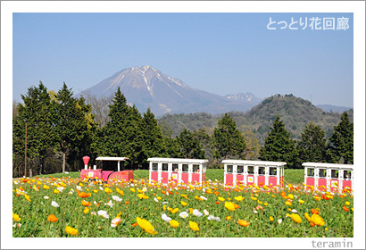 �ȤäȤ�ֲ�ϭ���̿�1