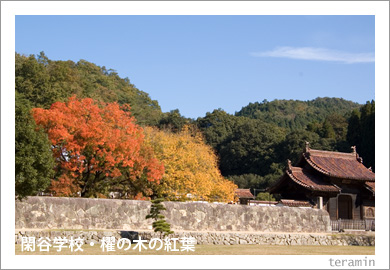 ��ë�ع���ݥ���ڤι���1