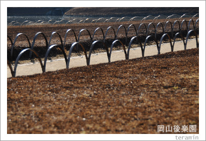 ������ڱࡡ�ǾƤ��̿�2