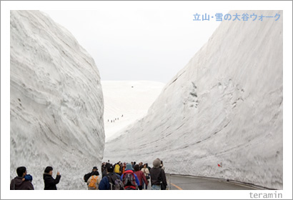 立山・雪の大谷2
